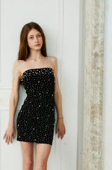 Pearl & Stud Mesh Iridescent Dress - Black