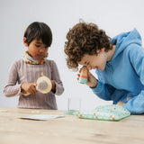 Insects Kit