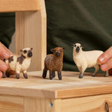 Schleich Farm World: Friends - 3pc Animal Figures