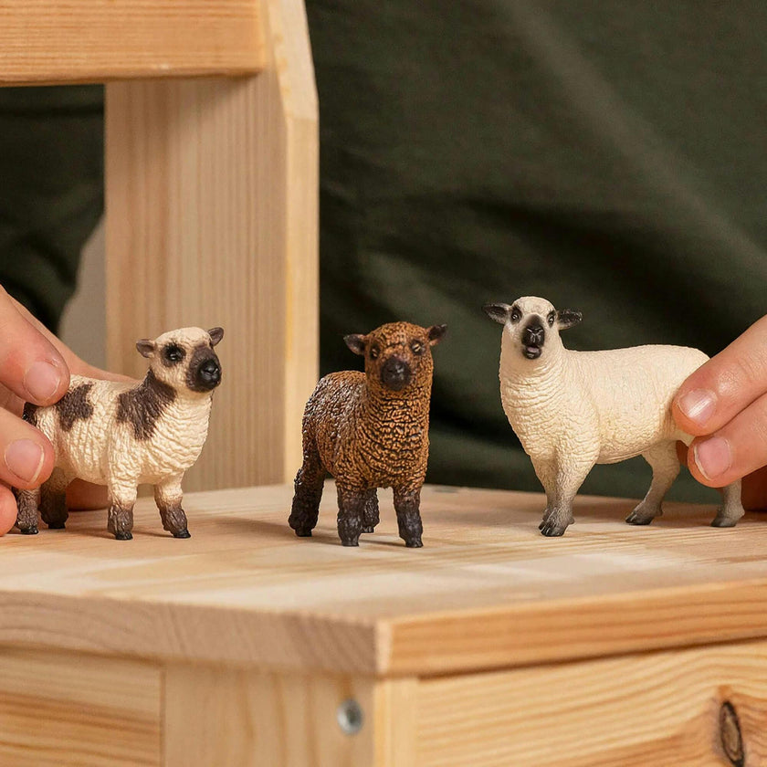 Schleich Farm World: Friends - 3pc Animal Figures