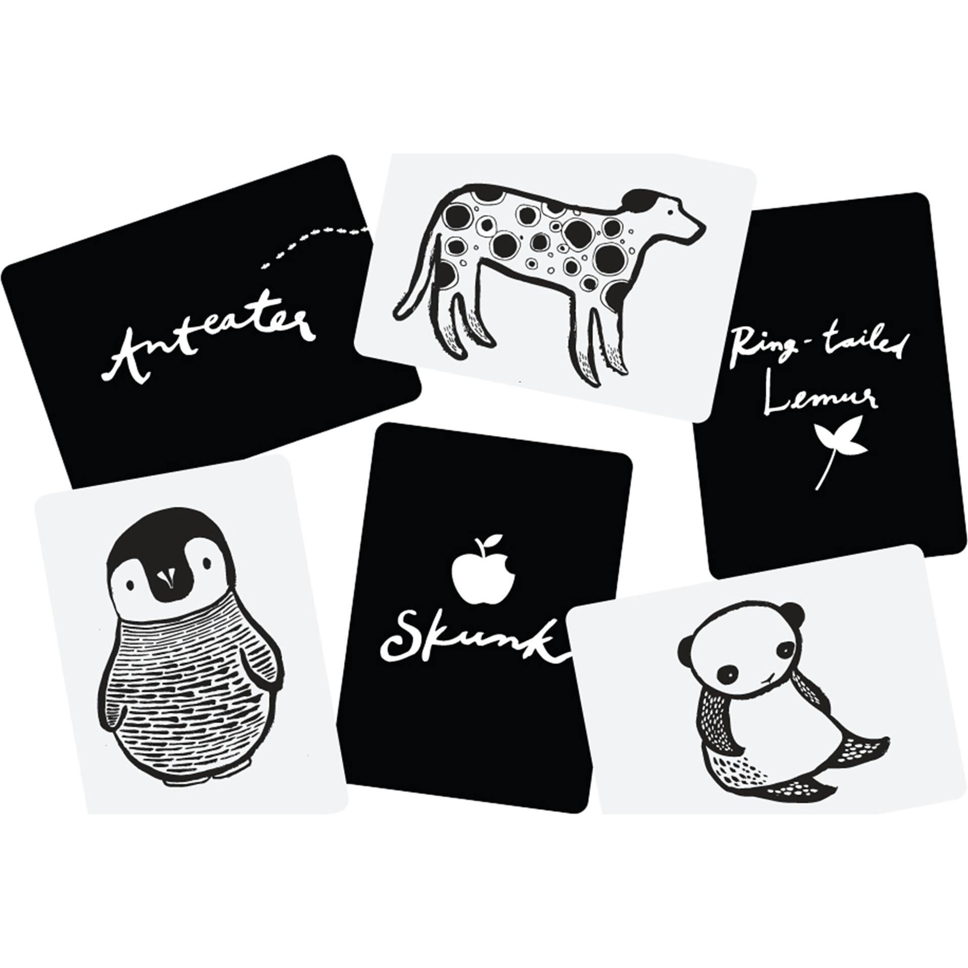 Black and White Art Cards for Baby