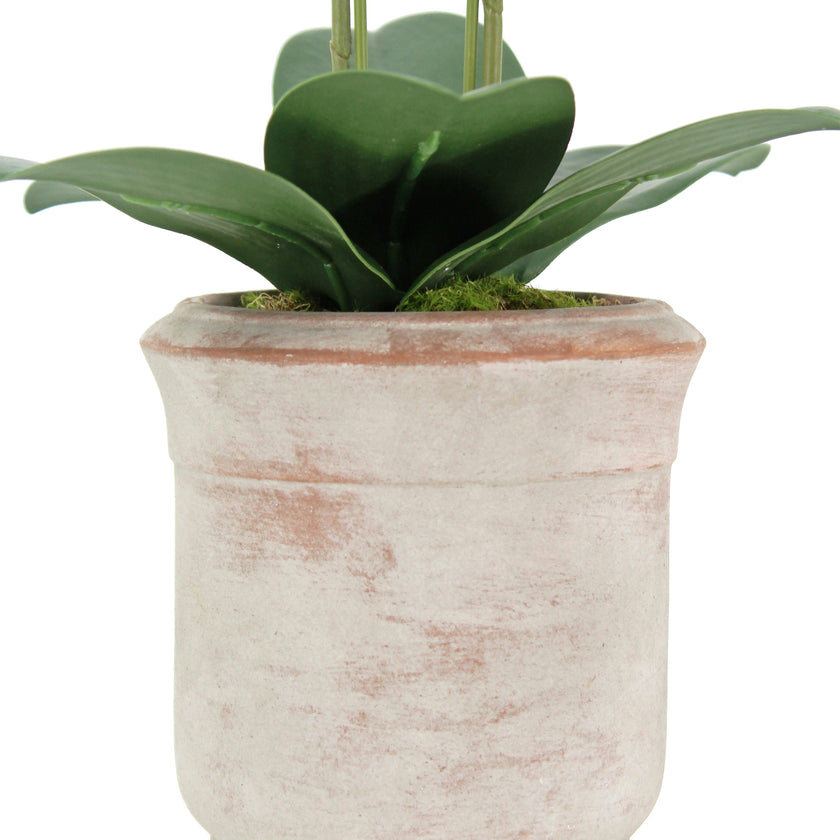 Artificial 2-Stem Phalaenopsis White Orchid