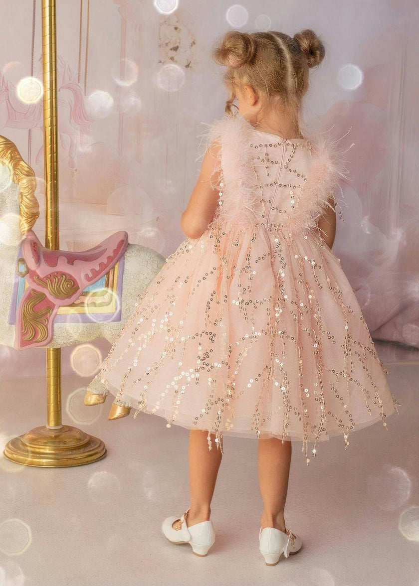 Sparkly Feather Fairy Tulle Dress