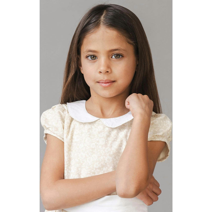 Short Sleeve Linen Dress with Peter Pan Collar, Brown