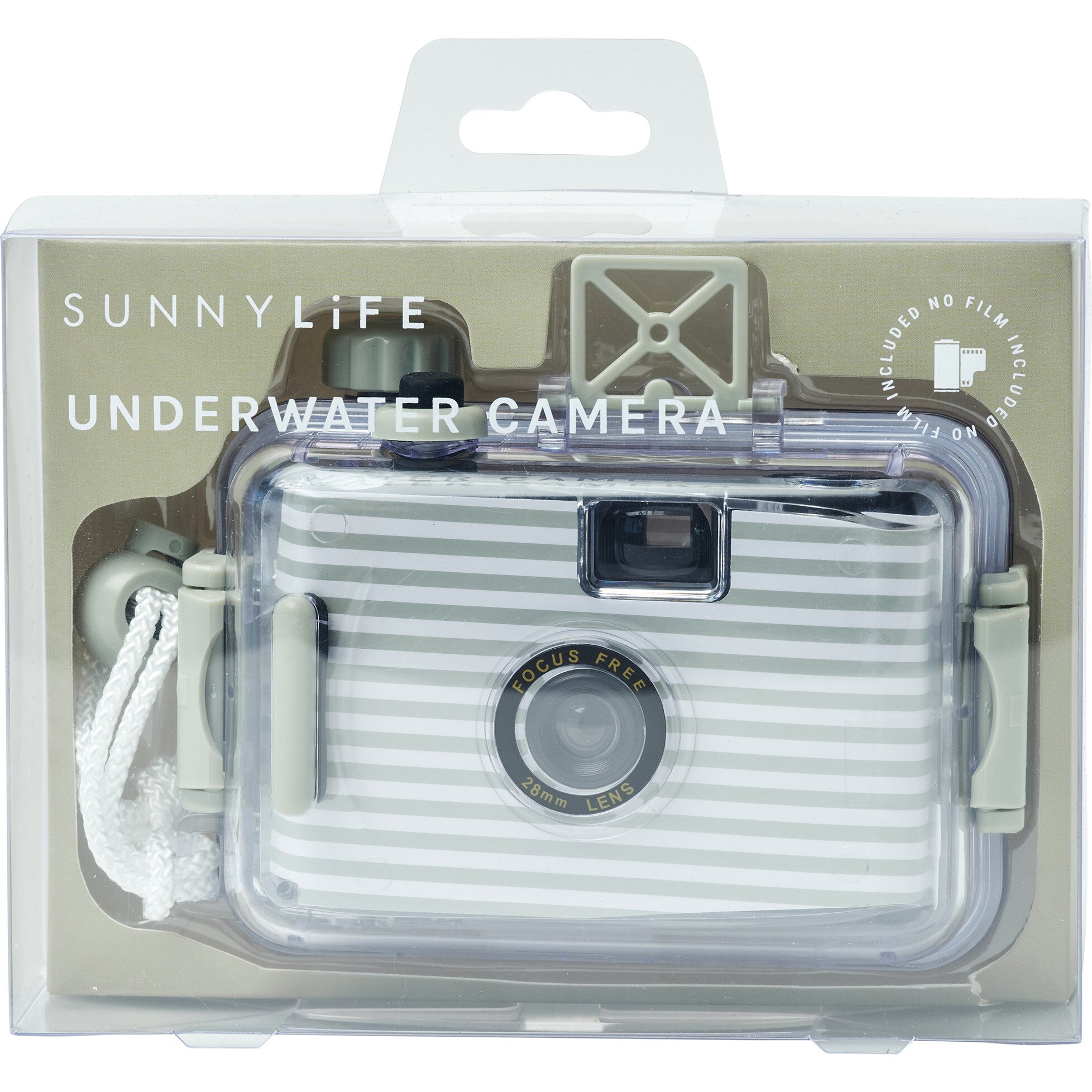 Underwater Camera: Seagrass
