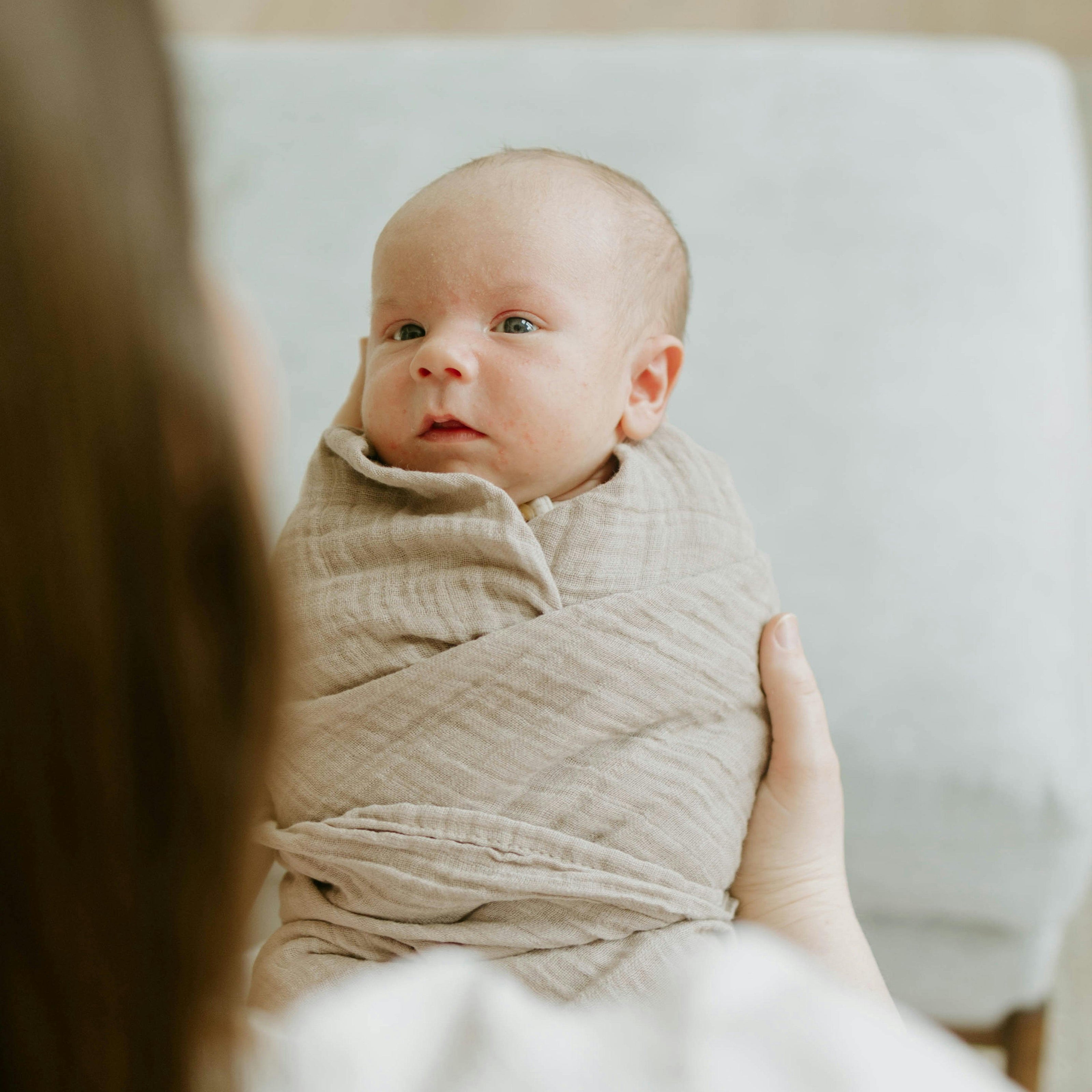 Organic Cotton Muslin Swaddle Blanket 2 Pack - Dino Driftwood (Walmart)