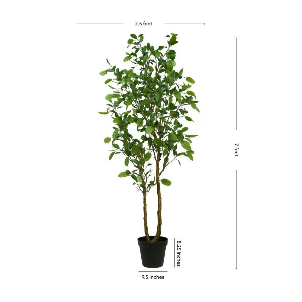 7' Citrus Lemon Tree