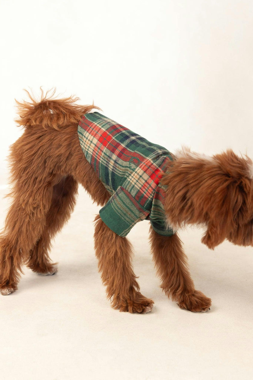 Green Plaid Dog Shirt