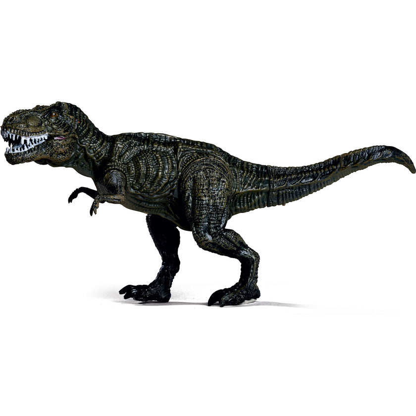 Dino Set: XXL - 6pc
