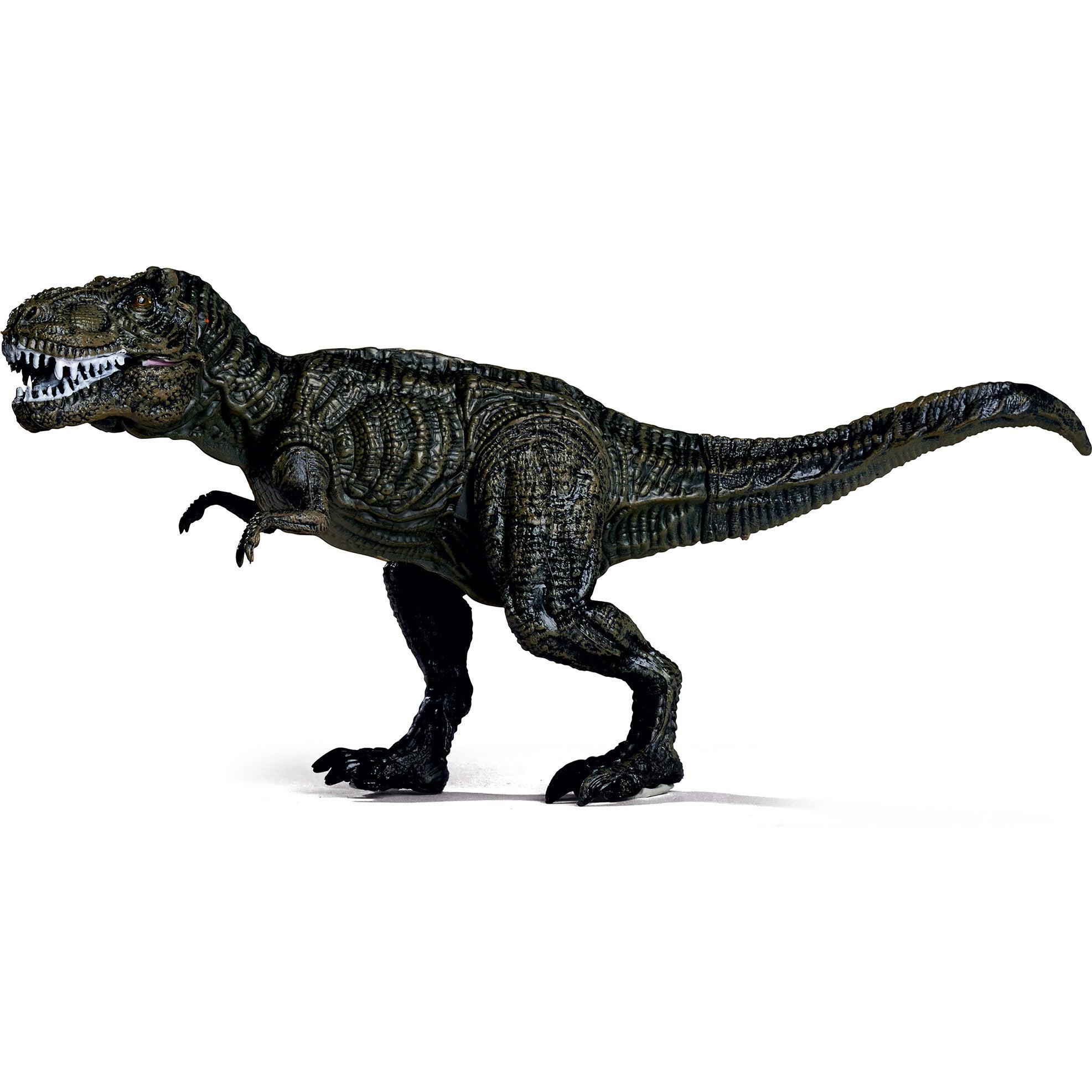 Dino Set: XXL - 6pc