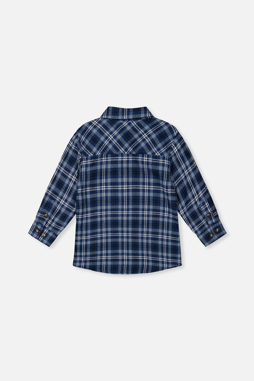 Plaid Shirt Blue And White
