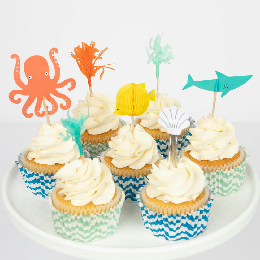& Cupcake Kit
