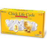Chick Life Cycle Exploration Set