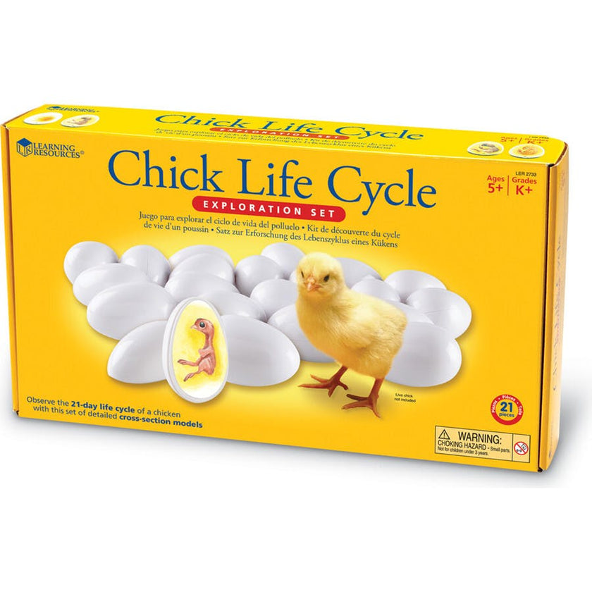 Chick Life Cycle Exploration Set