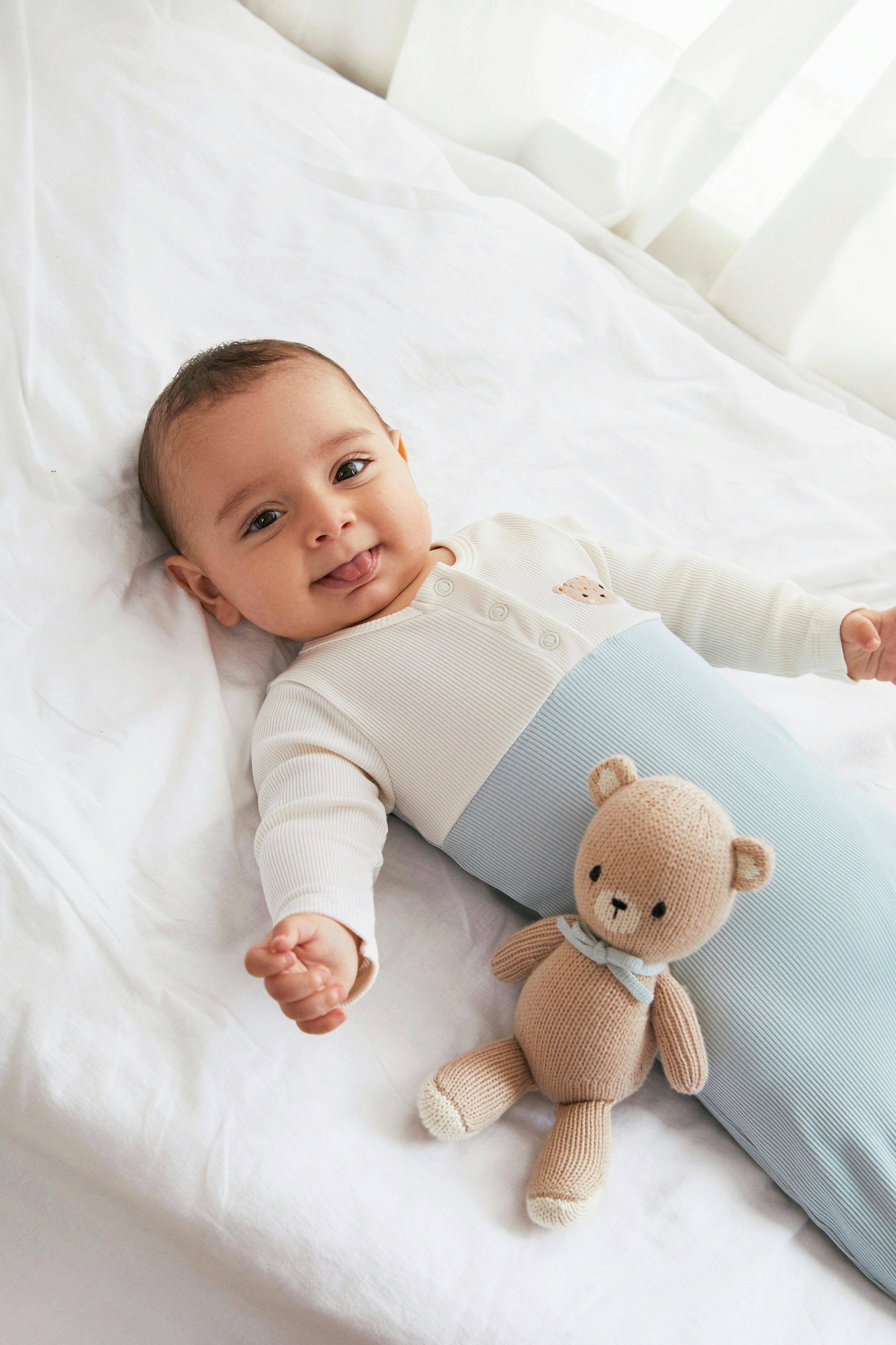 The Baby bear 8.5