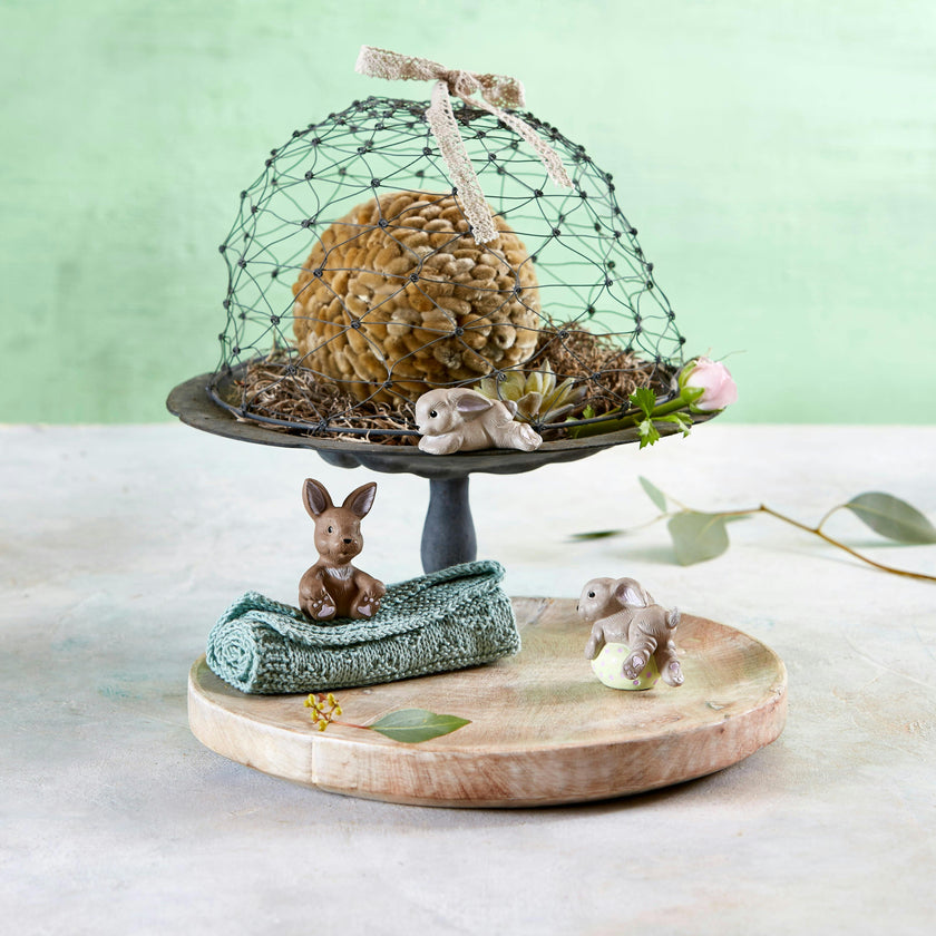 Nini Hare