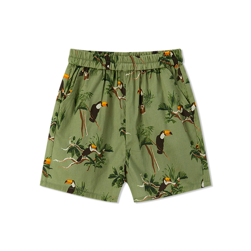 Collar Button-Up Shirt and Shorts Set
