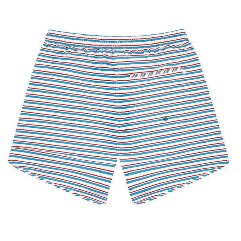 men's jetty stripe boardie