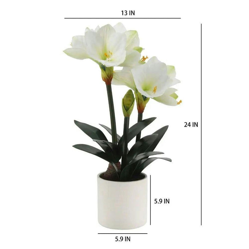24" White Amaryllis Arrangement in Pot