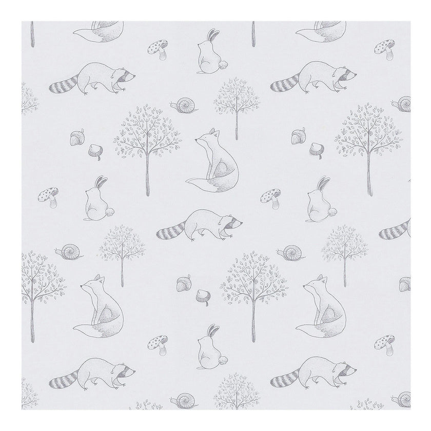 Gray Raccoon Pima Baby Pajama