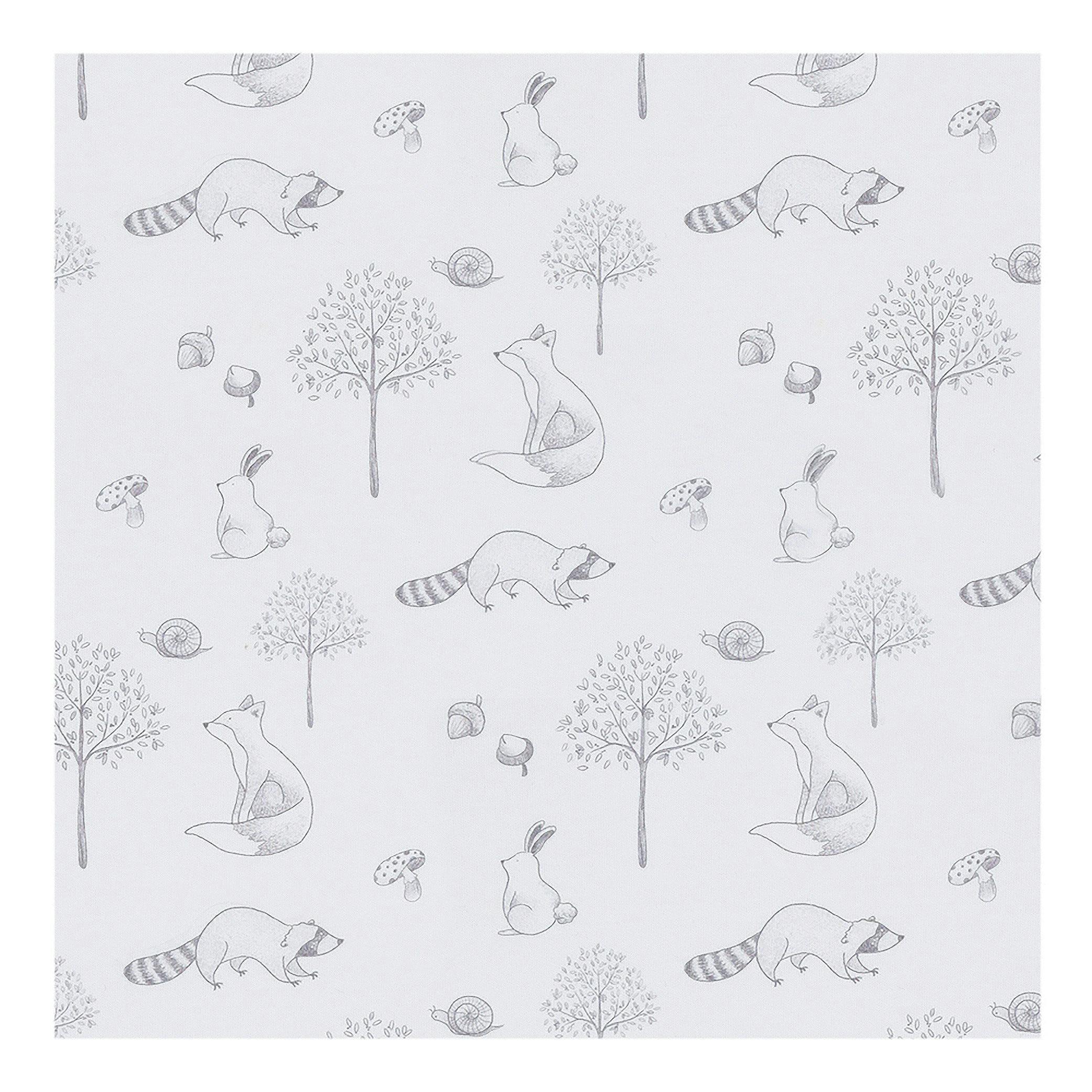 Gray Raccoon Pima Cotton Baby One-Piece Pajamas