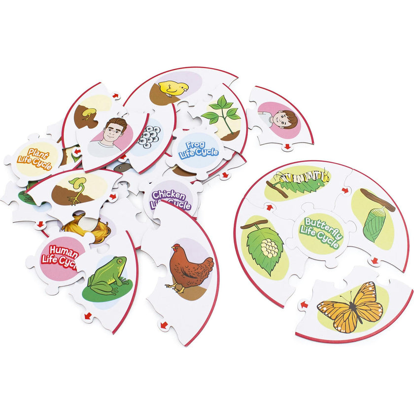 Life Cycle Science Learning Puzzles