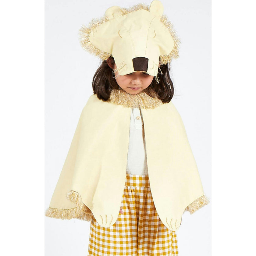 Lion Costume