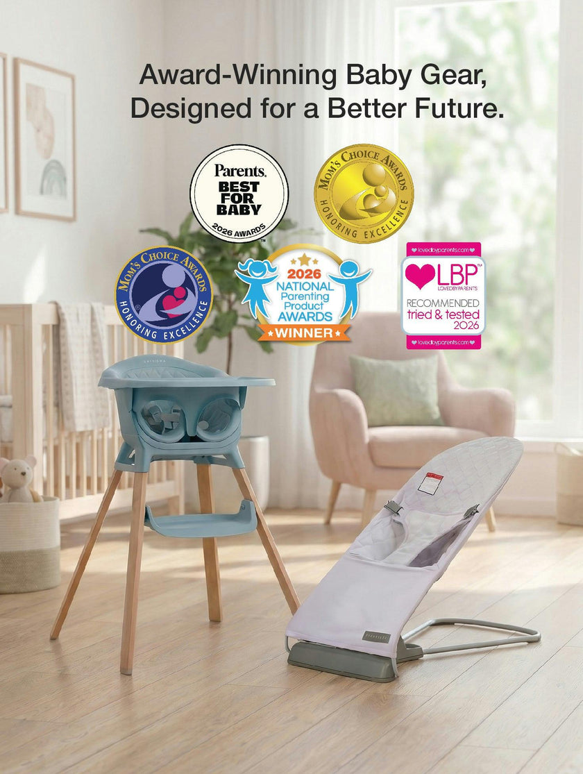 Evrloop Bouncer Chair