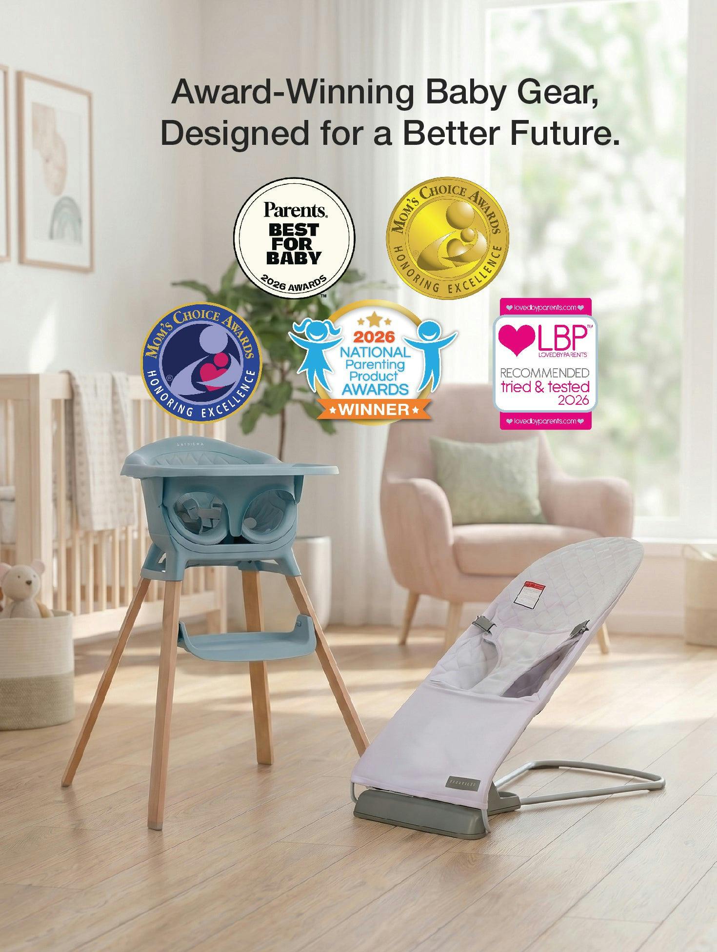 Evrloop Bouncer Chair
