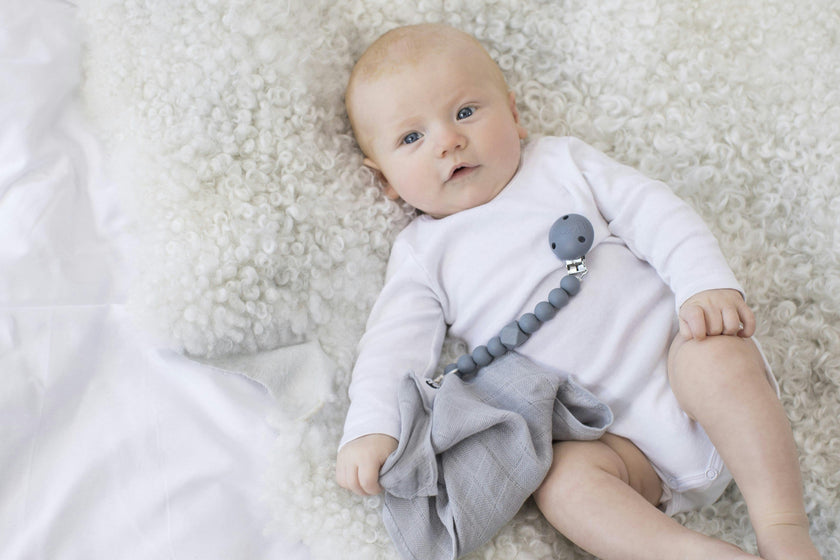 Chewy Pacifier Clip