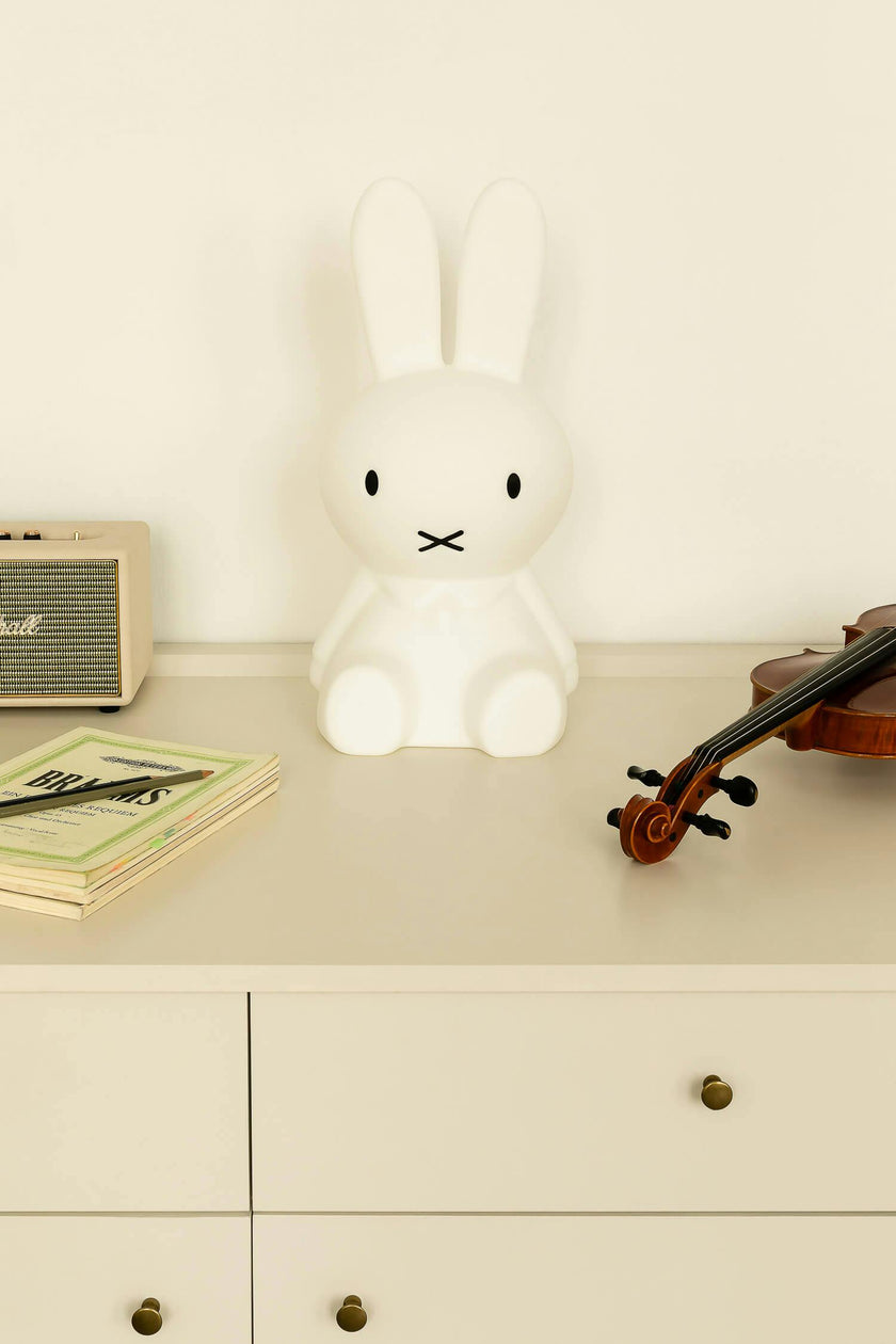 Mr Maria Miffy Lights