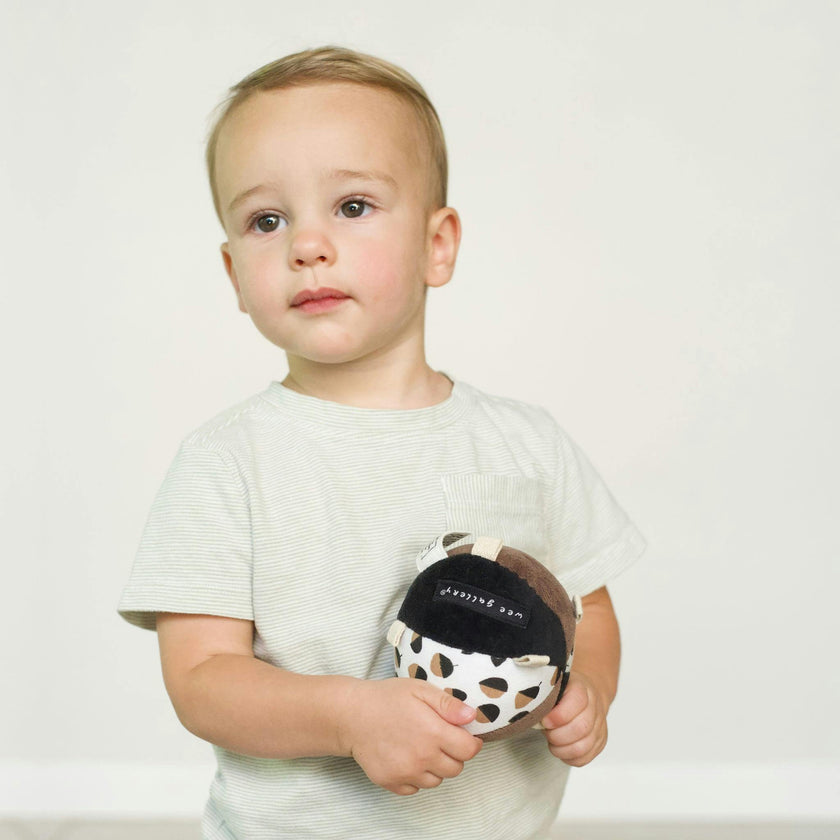 Taggy Ball with Rattle