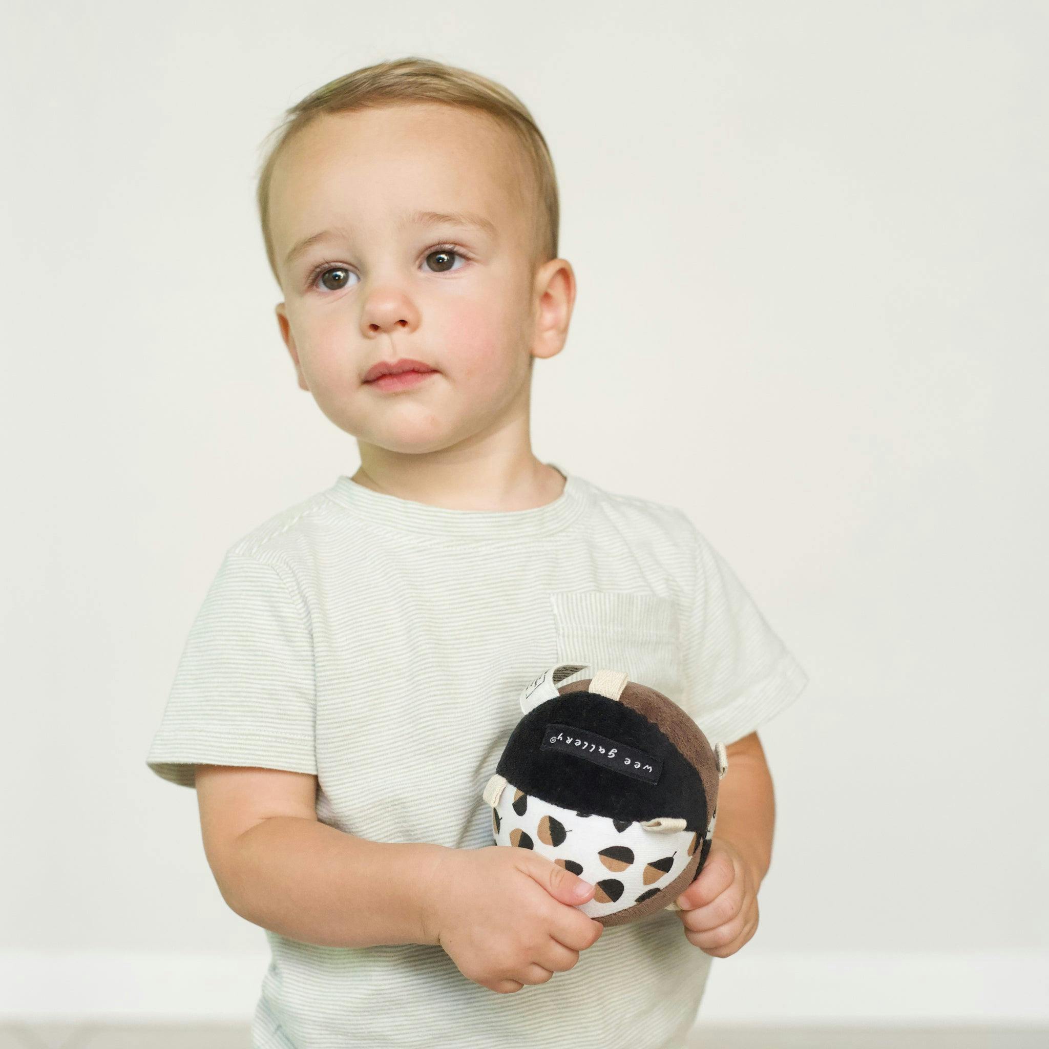 Taggy Ball with Rattle