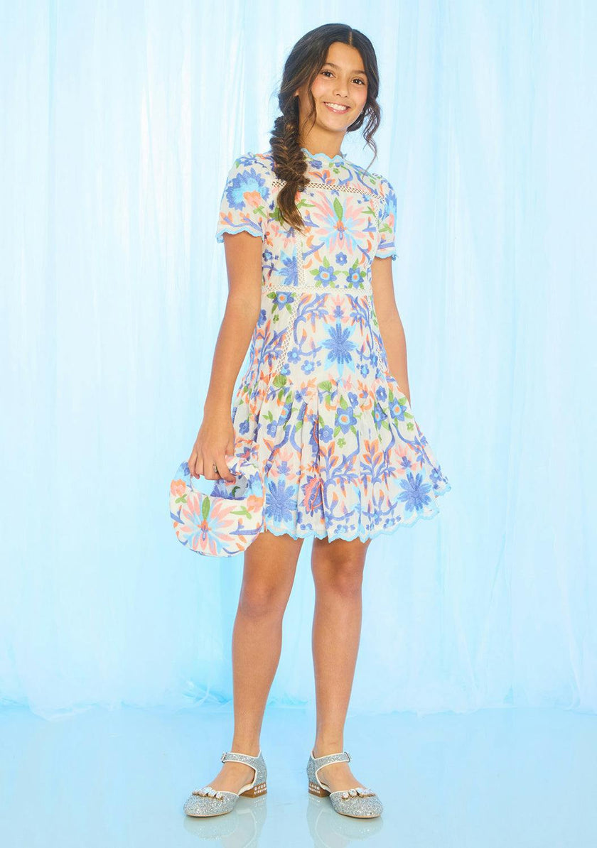 Sarah Embroidered Mini Dress