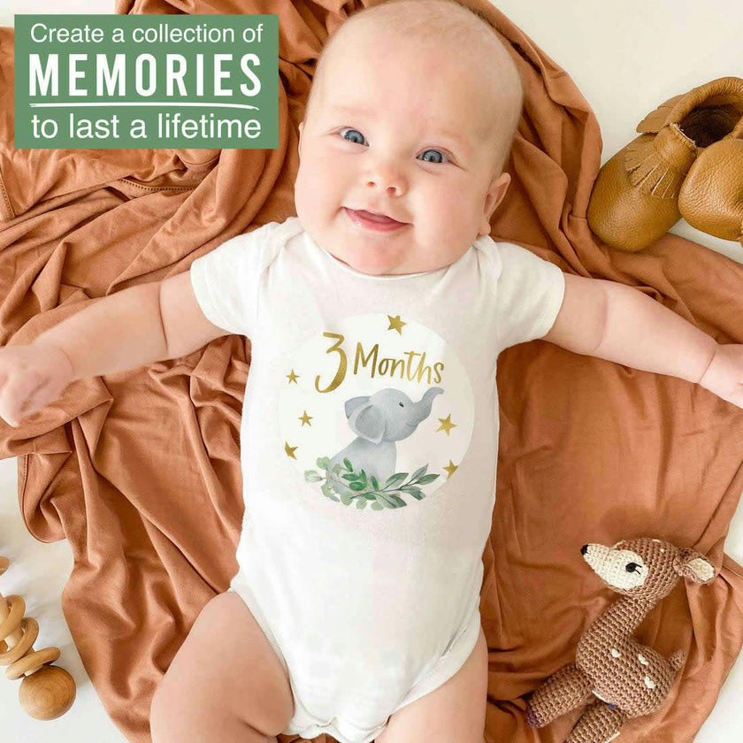 6-Piece Baby Closet Dividers & 20-Piece Baby Milestone Stickers Baby Shower Gift