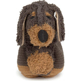 Basket Sparky
