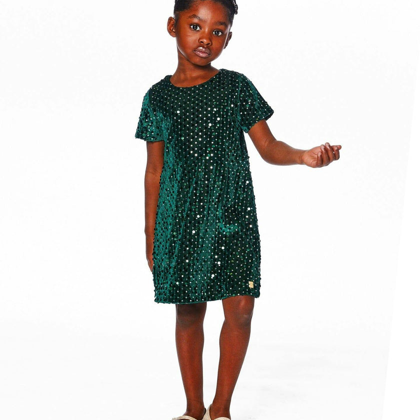 Velvet Short Sleeve Dress
