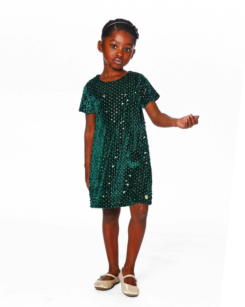 Velvet Short Sleeve Dress