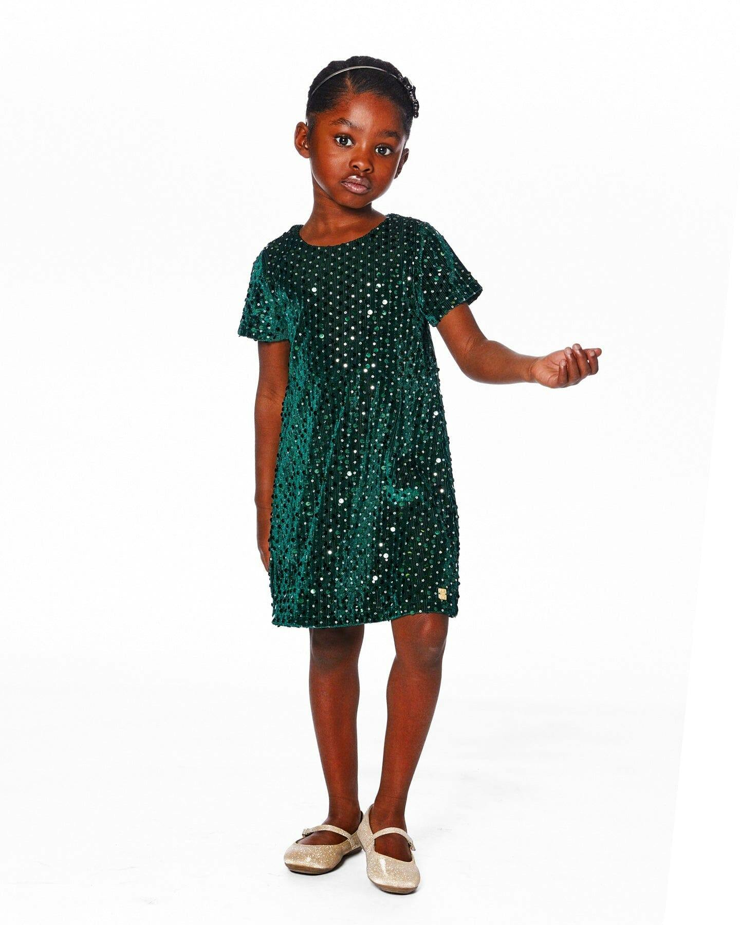 Velvet Short Sleeve Dress