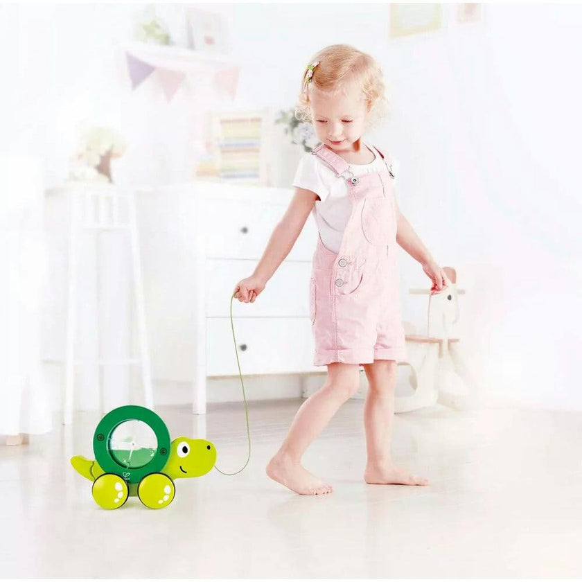 Hape: Pull Along - Tito - Wooden Green w/ Removable Water Swirling Shell