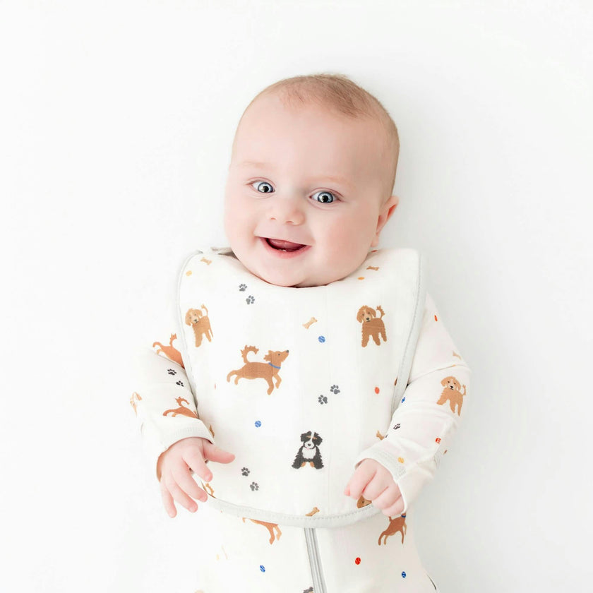Bib Set