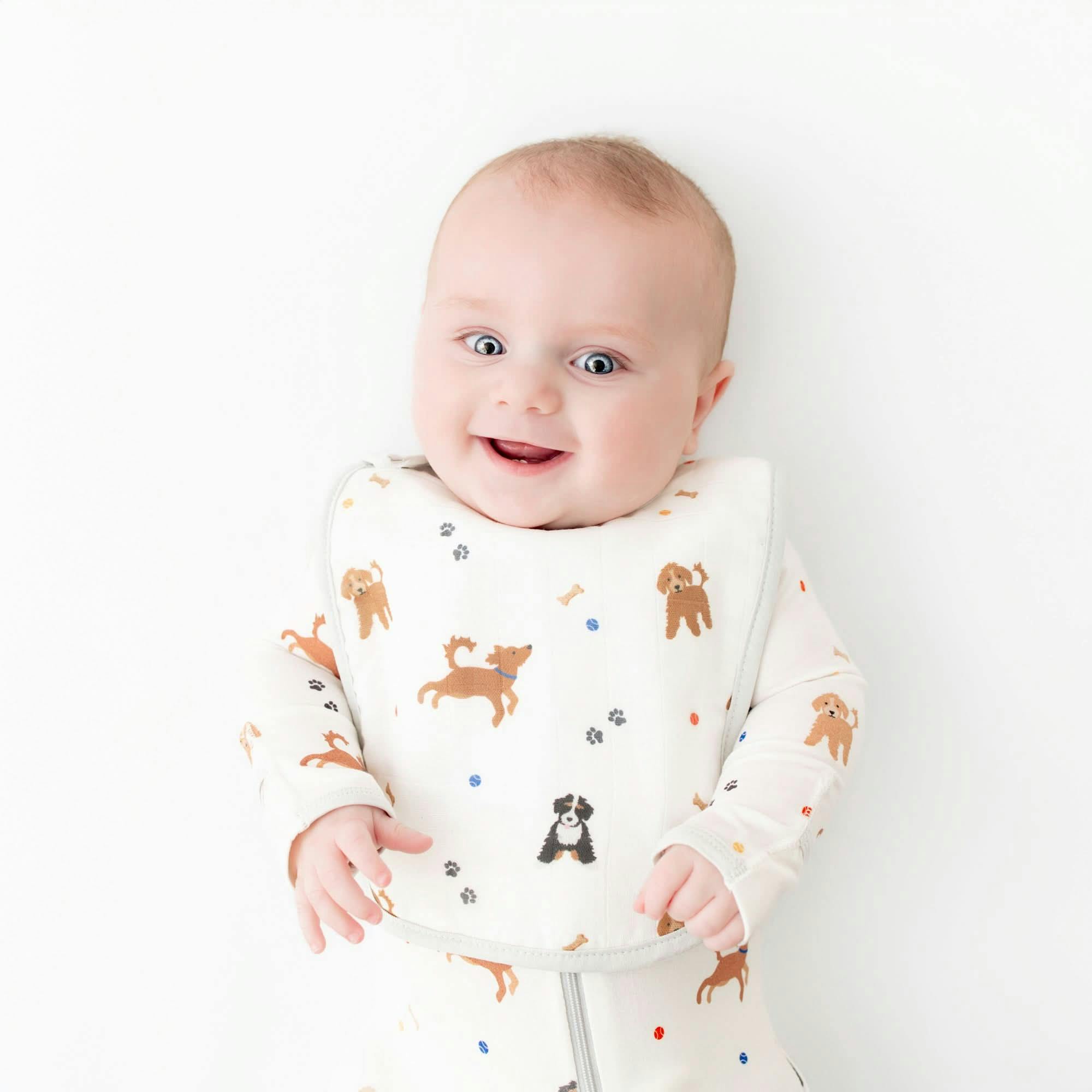 Bib Set