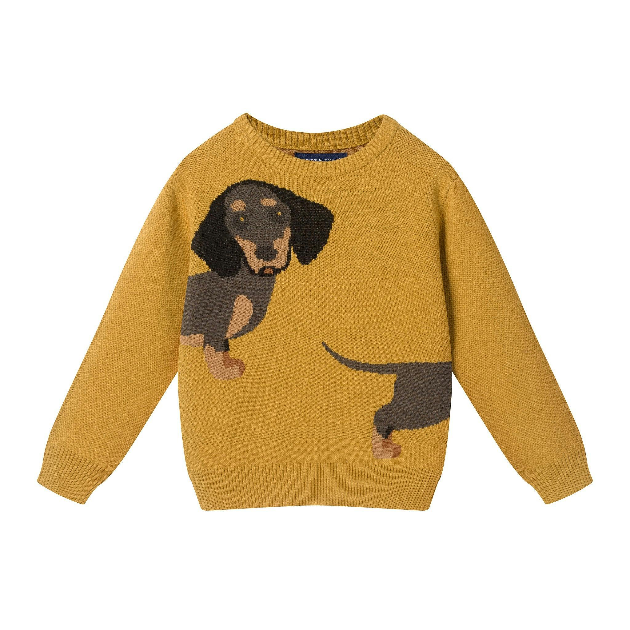 Graphic Sweater | Hot Diggity Dog