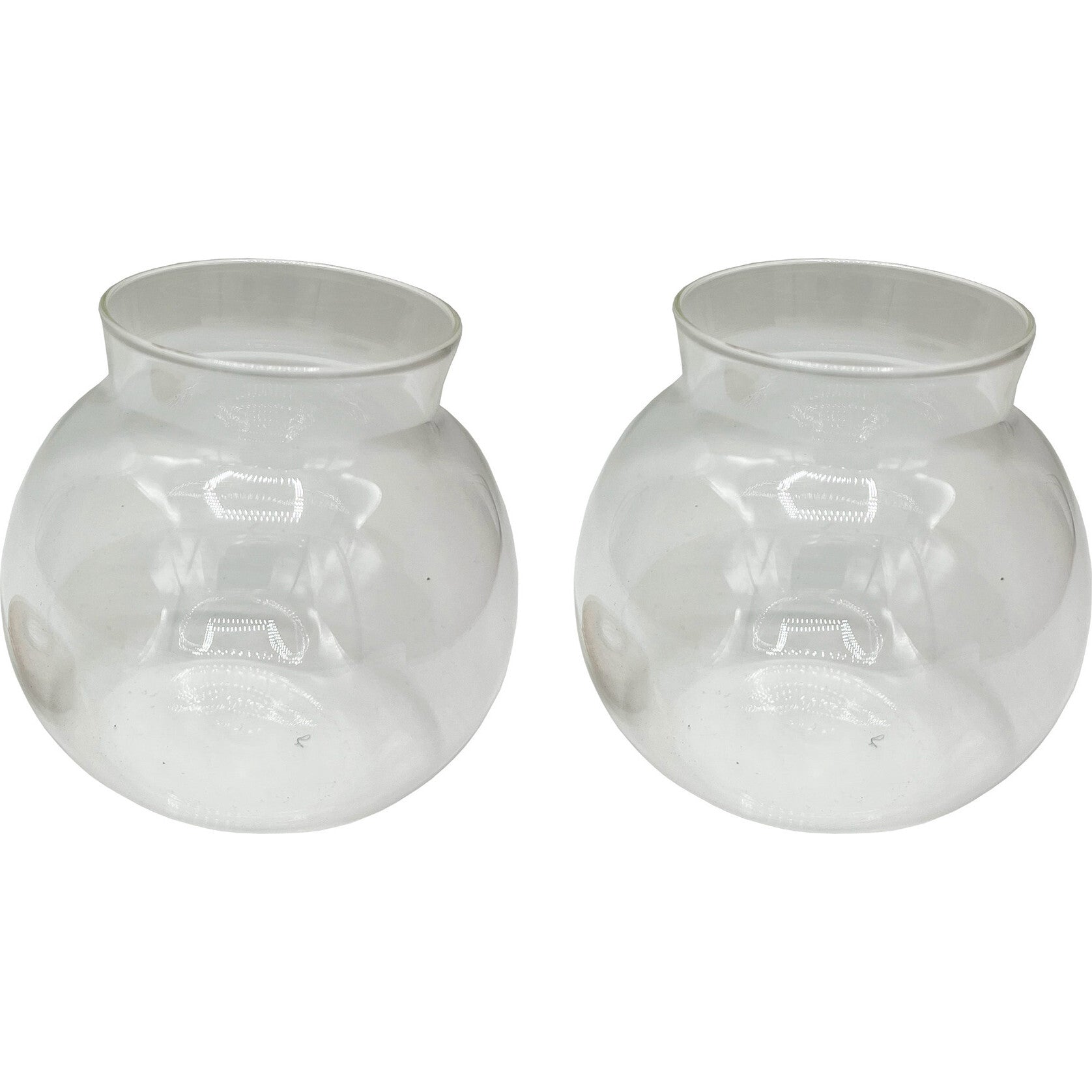 Glass Terrarium: 4