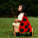 Costume Wings
