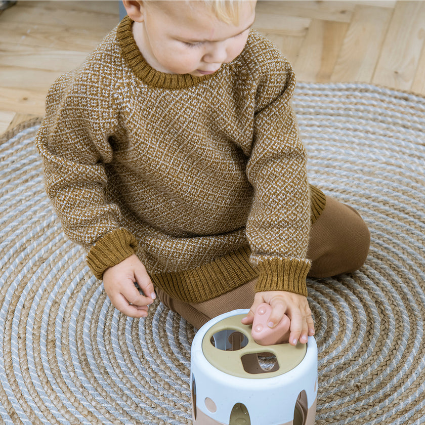 Tiny BIO: Shape Sorter
