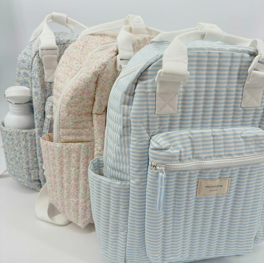 powder blue stripe coated everyday backpack