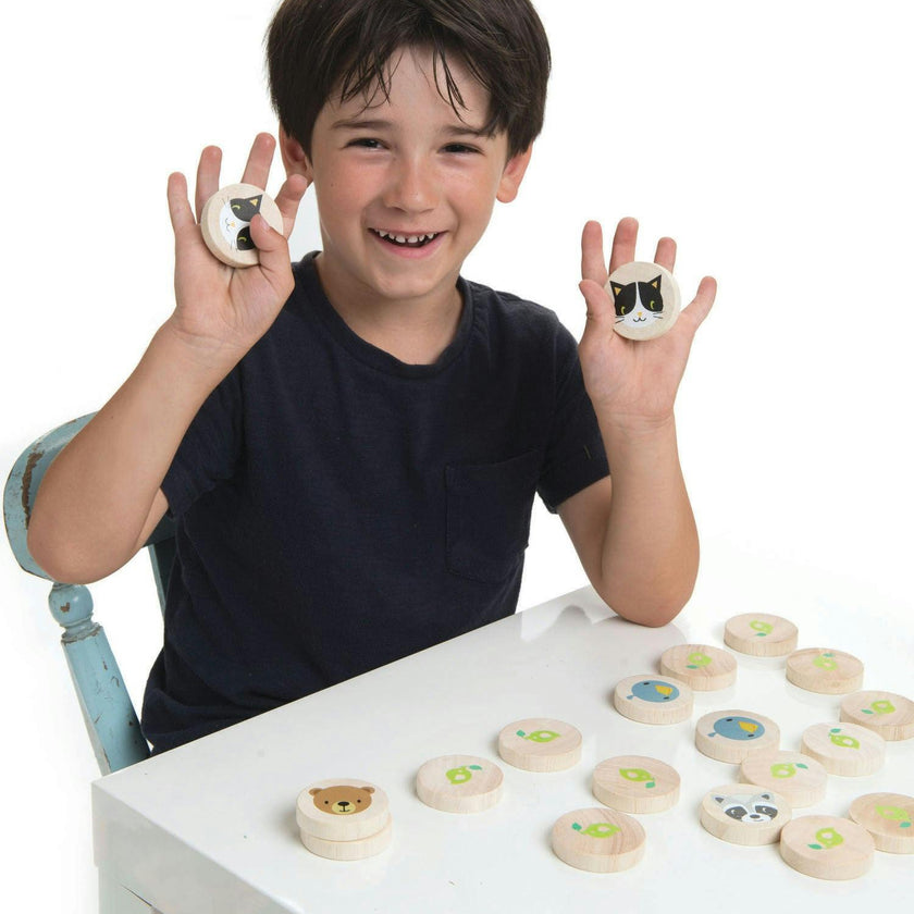 Clever Cat Memory Game