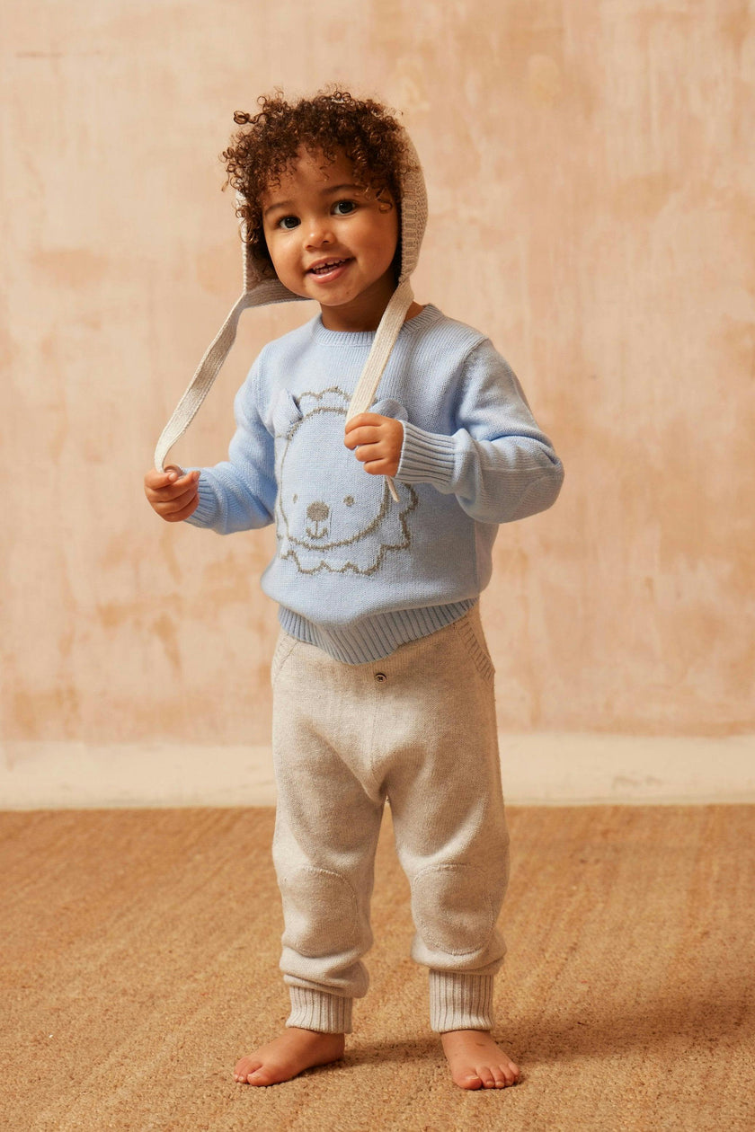 Baby Lion Jumper | Sky