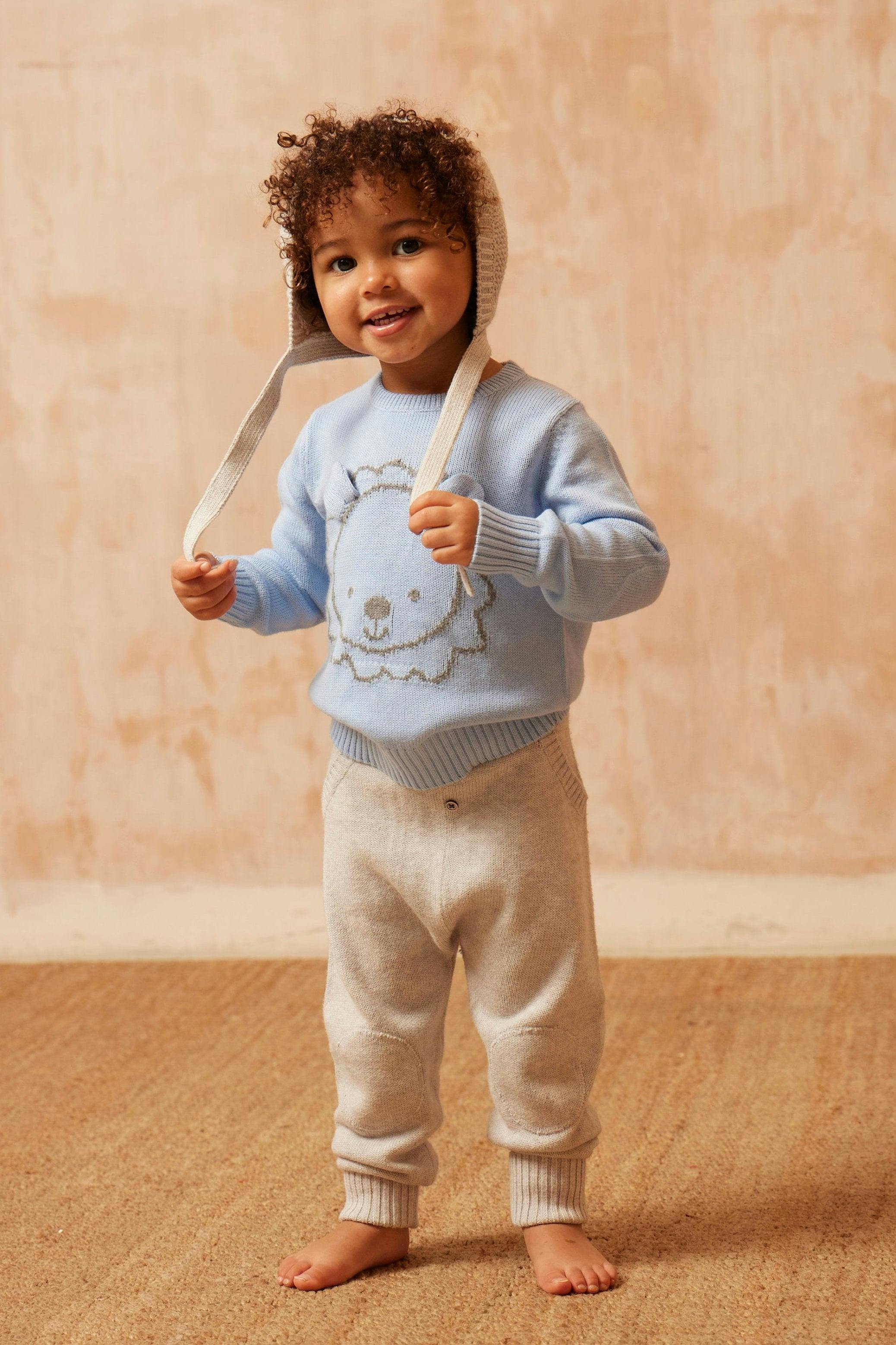 Baby Lion Jumper | Sky